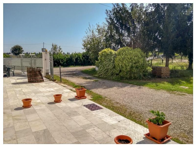 Elizabeth B&B Lentigione Εξωτερικό φωτογραφία